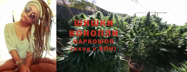 jwh Богородск